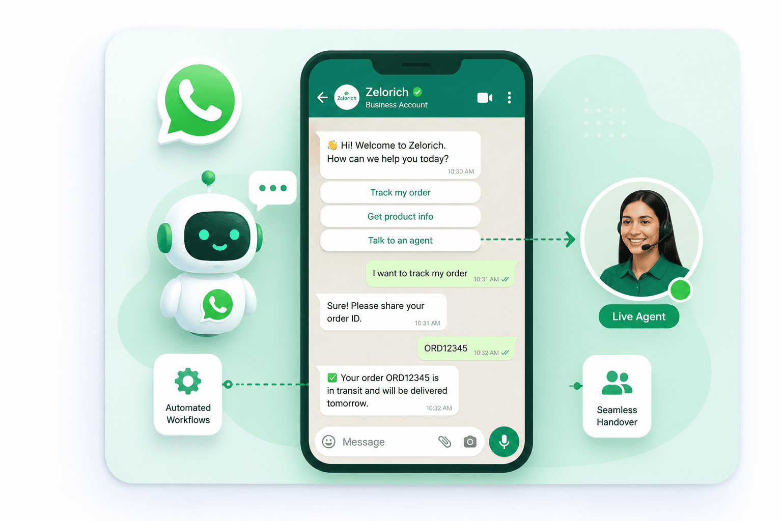 WhatsApp automation with AI chatbot, automated order tracking and live-agent handover